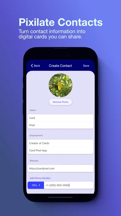 Screenshot di Card Pixel